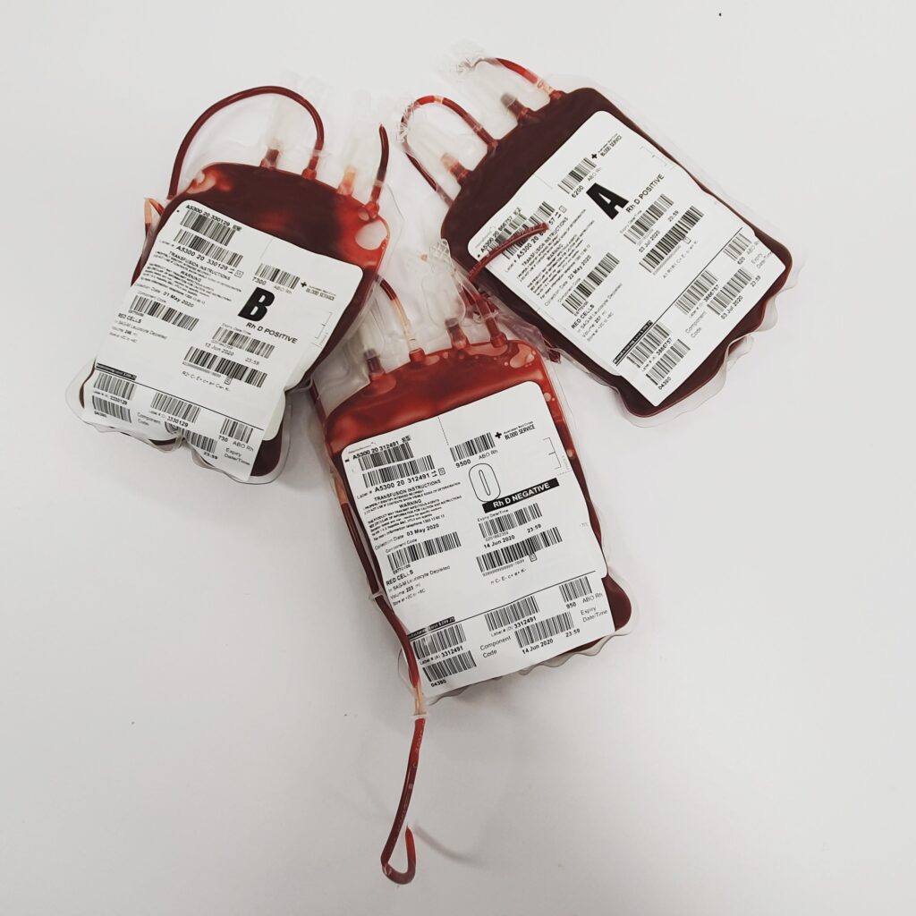 Kitten blood type B