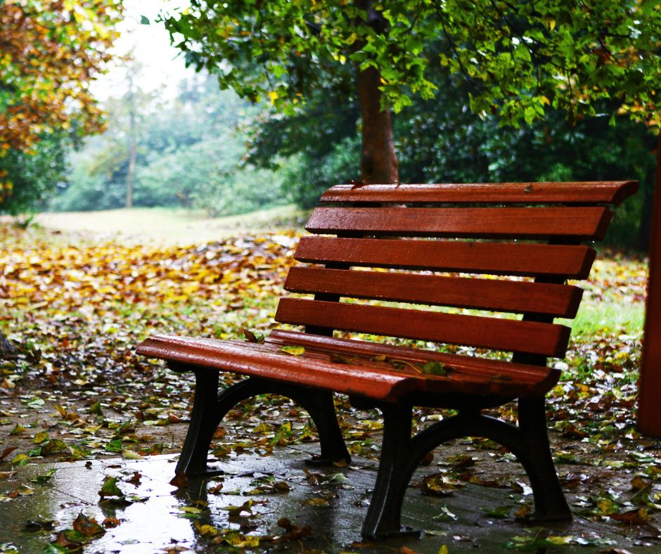 Homeless bench