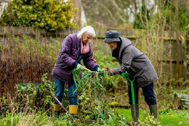 Older couple gardening in the outdoors