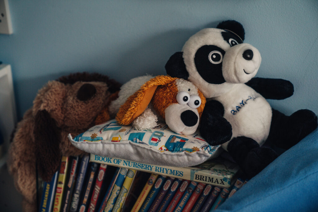 Teddy Bears 